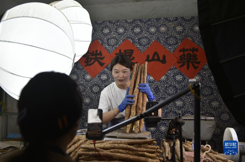 十博怎么登录不了